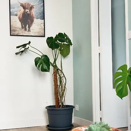 T2 Moderne Au Coeur * Poitiers