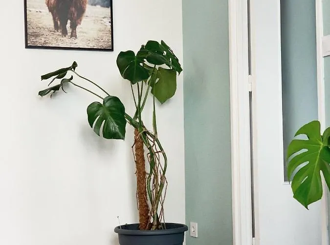 T2 Moderne Au Cœur * Poitiers